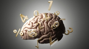 brain-numbers-maths-matematicas-cerebro-numeros