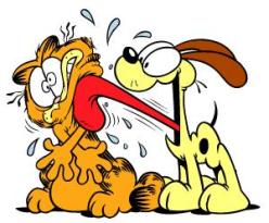 Odie-and-garfield